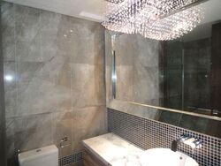 The Vision (D5), Condominium #588227131